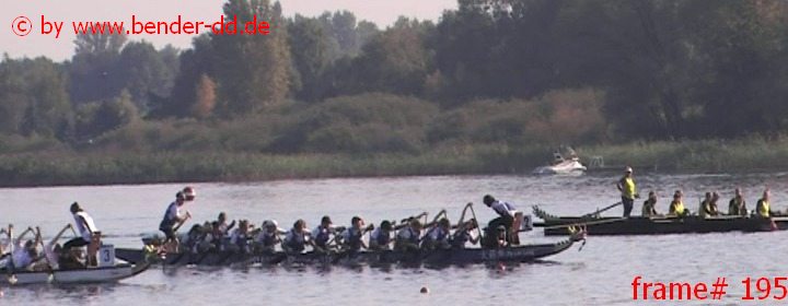 195.jpg