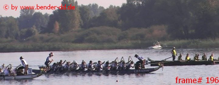 196.jpg