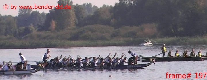 197.jpg