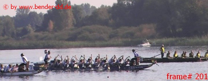 201.jpg