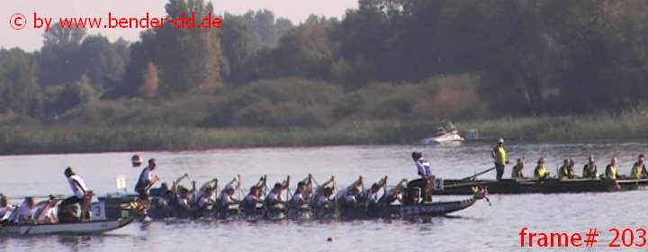 203.jpg