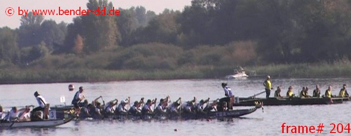 204.jpg