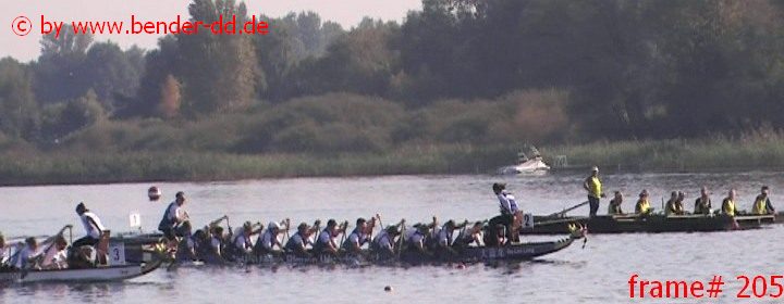 205.jpg
