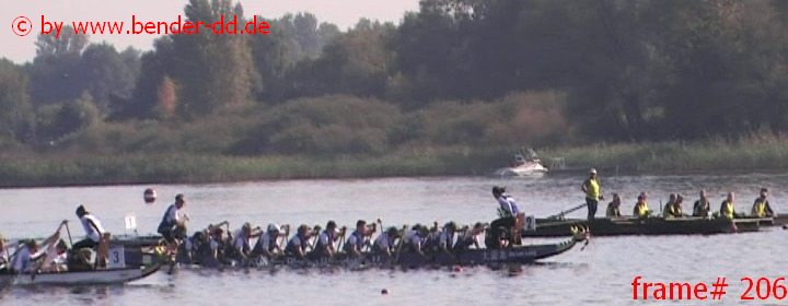 206.jpg
