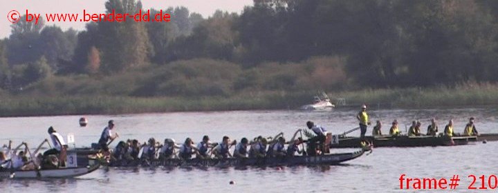 210.jpg