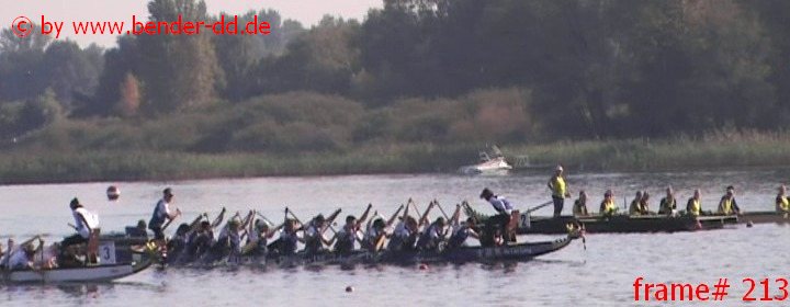 213.jpg
