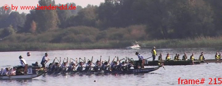 215.jpg