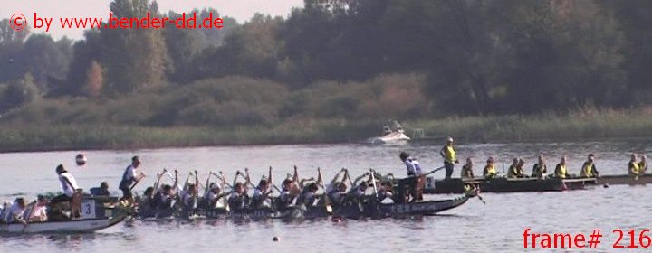 216.jpg