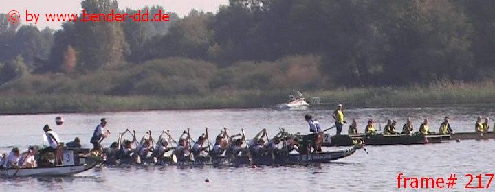 217.jpg