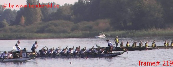 219.jpg
