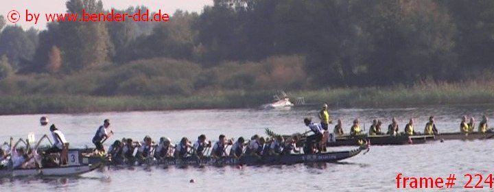 224.jpg