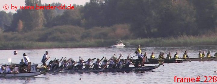 228.jpg
