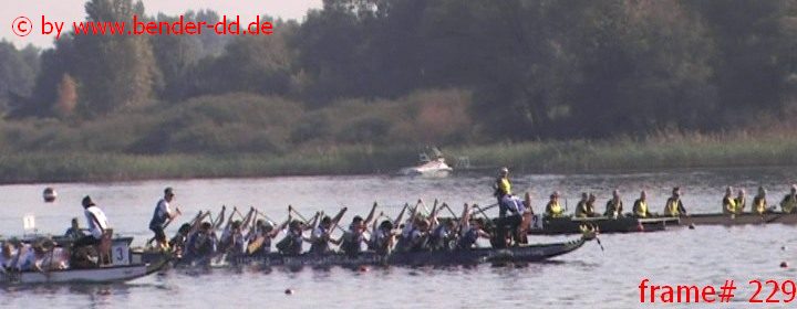 229.jpg