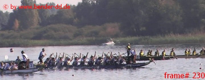 230.jpg