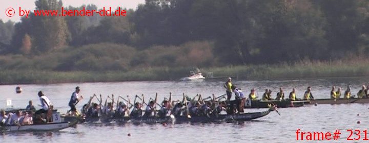 231.jpg