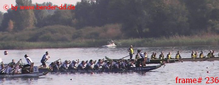 236.jpg