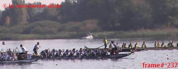 237.jpg