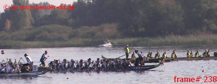 238.jpg