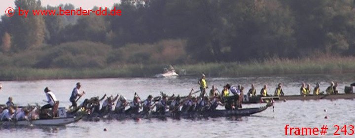 243.jpg