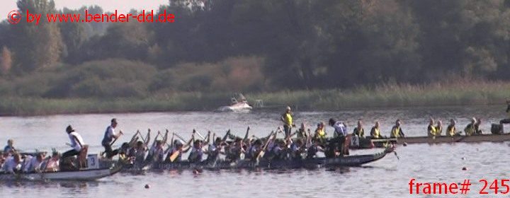 245.jpg