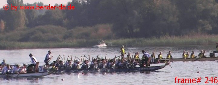 246.jpg