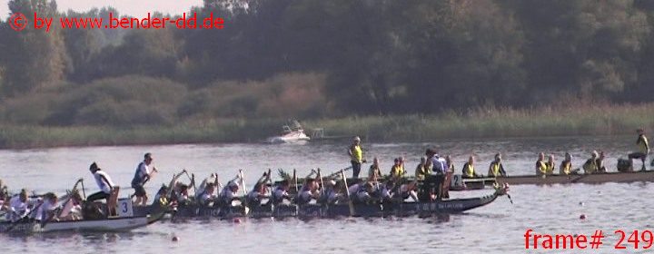 249.jpg