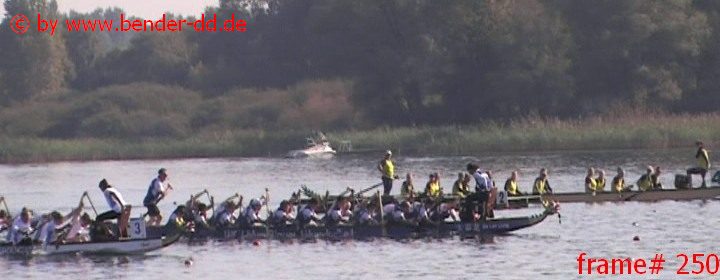 250.jpg