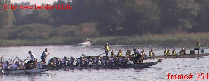 254.jpg
