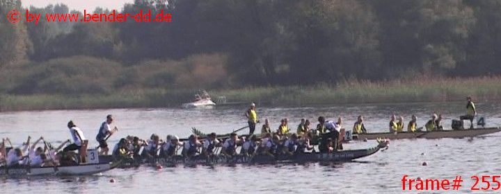 255.jpg