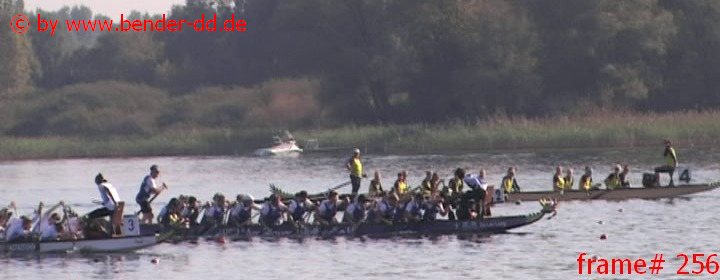 256.jpg