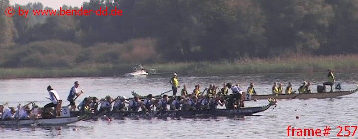 257.jpg