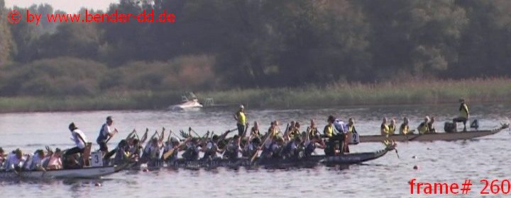 260.jpg