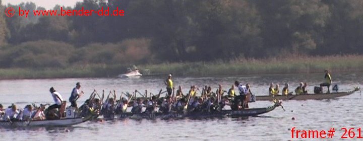 261.jpg
