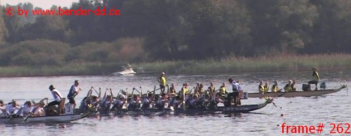 262.jpg
