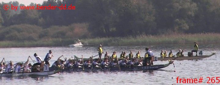 265.jpg