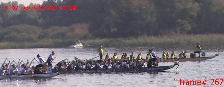 267.jpg