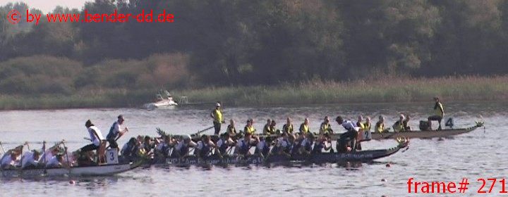 271.jpg