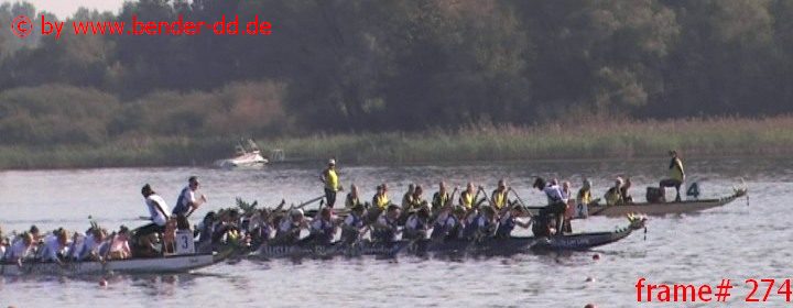 274.jpg