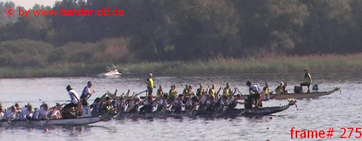 275.jpg
