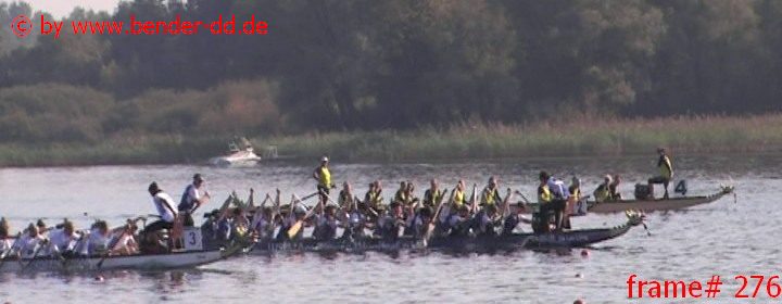 276.jpg