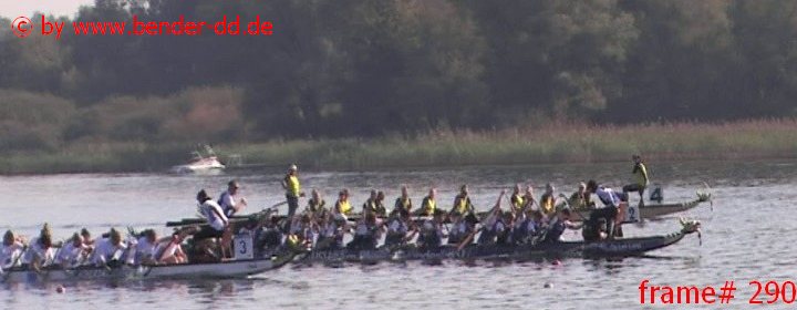 290.jpg