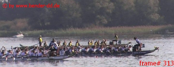 313.jpg