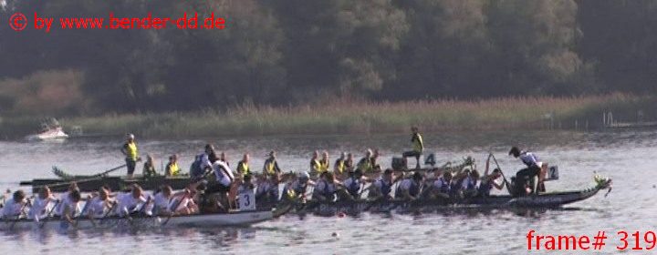 319.jpg