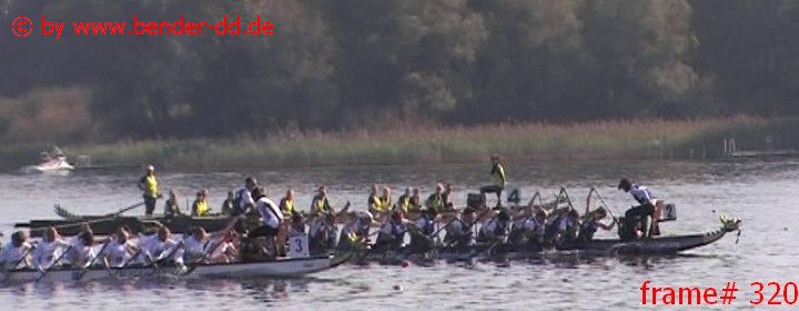 320.jpg