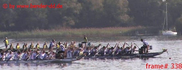 338.jpg