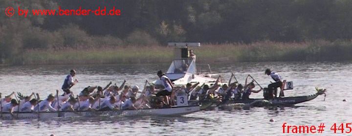 445.jpg