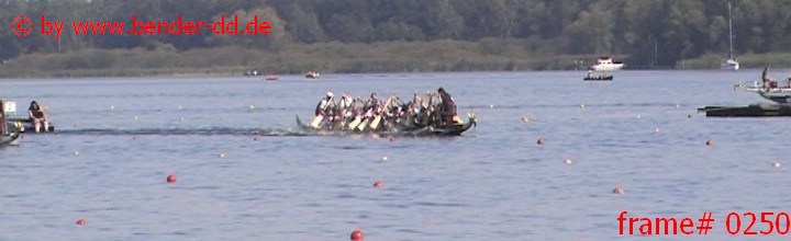0250.jpg