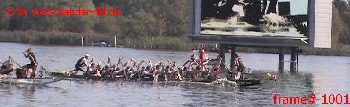 1001.jpg