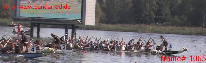 1065.jpg