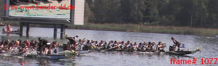 1077.jpg